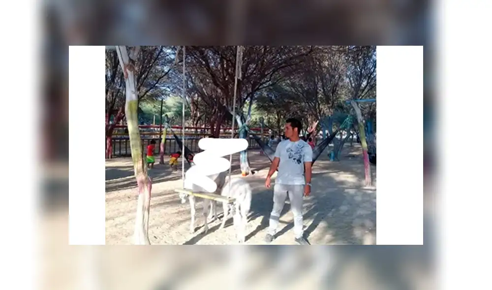 Facebook viral: joven peruano hace pedido y troles del Photoshop crean curiosos memes [FOTOS]