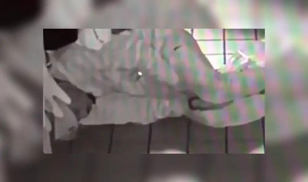 Al finalizar su siesta dentro del local, se llevó una laptop y una tablet. Foto: captura Al finalizar su siesta dentro del local, se llevó una laptop y una tablet. Foto: captura