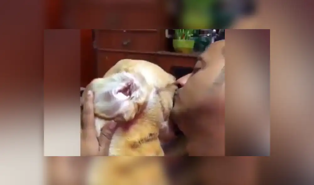 Desliza hacia la izquierda para ver más del video viral Desliza hacia la izquierda para ver más del video viral