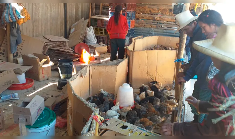 Municipalidad busca reordenar céntrica calle de Cajamarca.