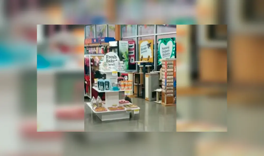 En YouTube, un travieso gato fue captado en el preciso momento que ‘robó’ las galletas de una tienda. En YouTube, un travieso gato fue captado en el preciso momento que ‘robó’ las galletas de una tienda.