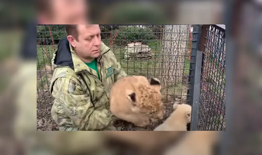 Desliza hacia la izquierda para ver las imágenes del viral de YouTube.