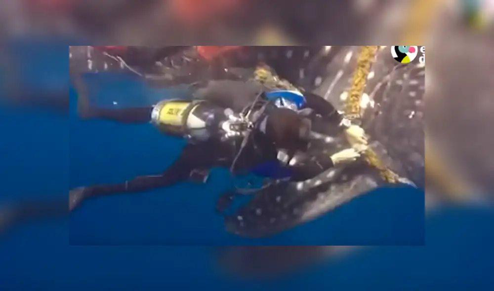 Desliza hacia la izquierda para ver el conmovedor rescate del video viral de Facebook.