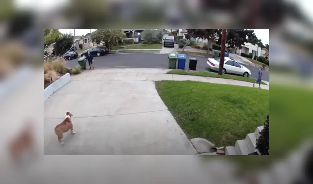 Desliza hacia la izquierda para ver las imágenes del viral de YouTube. Foto: ViralHog.