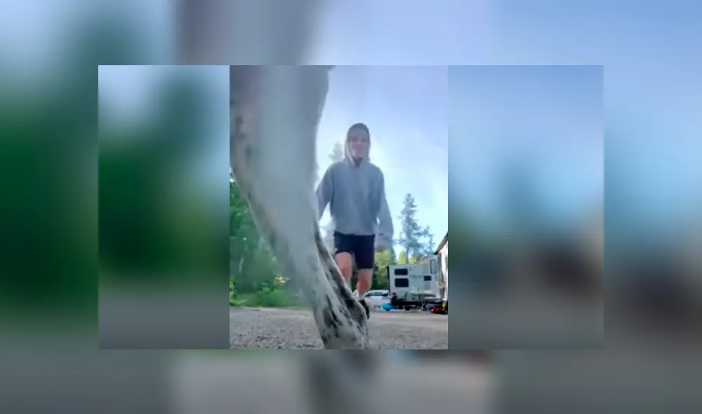 Video es viral en TikTok. El can arruinó la grabación de du dueño, justo cuando este trataba de hacer un peculiar truco con la pelota para sus seguidores. Fotocaptura: YouTube Video es viral en TikTok. El can arruinó la grabación de du dueño, justo cuando este trataba de hacer un peculiar truco con la pelota para sus seguidores. Fotocaptura: YouTube