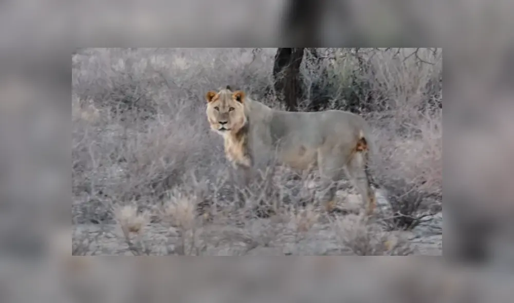 Desliza hacia la izquierda para ver las imágenes del viral de Facebook. Desliza hacia la izquierda para ver las imágenes del viral de Facebook.