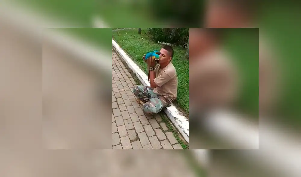 Desliza las imágenes para apreciar el emotivo comportamiento de un guacamayo al recibir unos mimos de su cuidador.