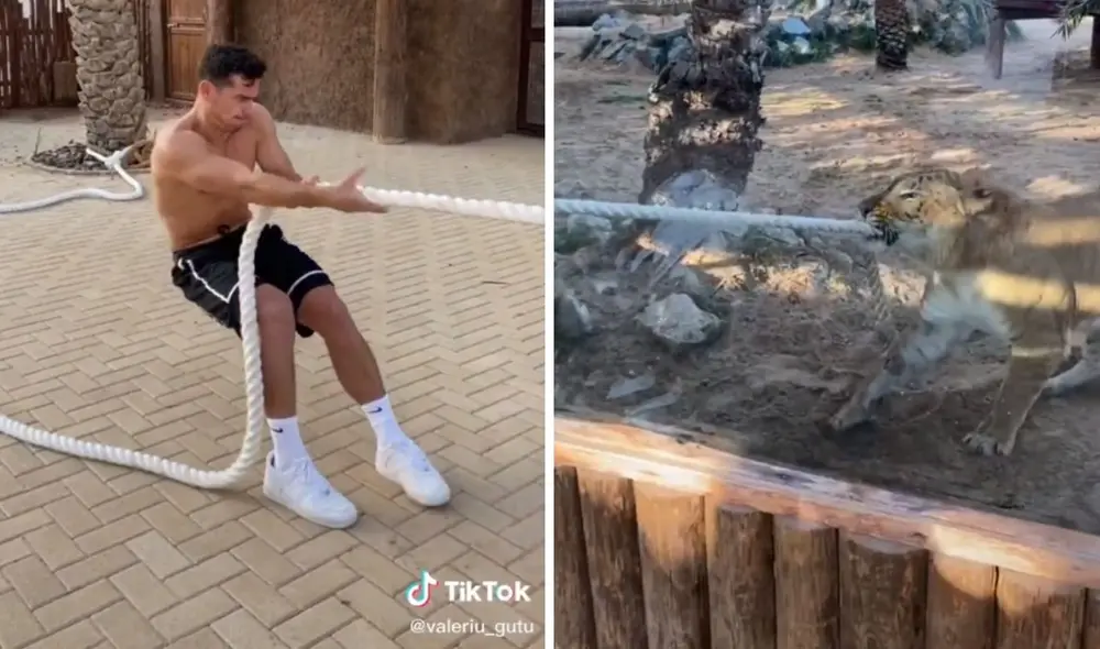 La contienda tuvo un claro ganador. Foto: captura de TikTok / @valeriu_gutu La contienda tuvo un claro ganador. Foto: captura de TikTok / @valeriu_gutu