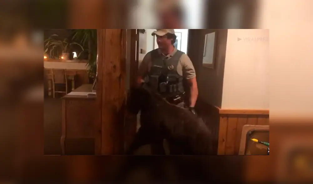 Escuchan aterradores ‘ronquidos’ en el baño, se acercan y descubren a una enorme criatura durmiendo [VIDEO] 