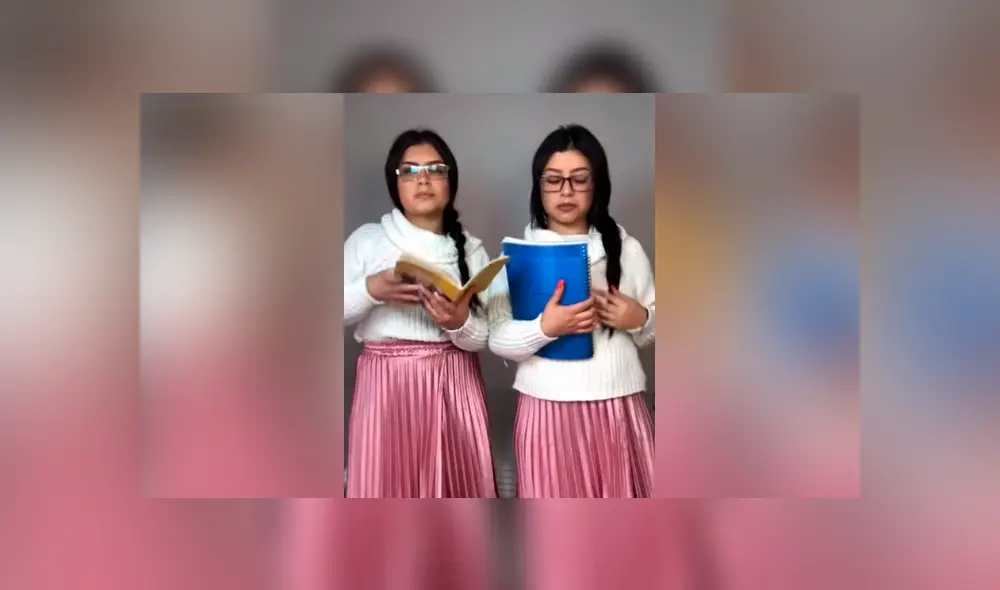 Desliza para ver el desenlace de este video viral publicado en TikTok. Foto: Captura.
