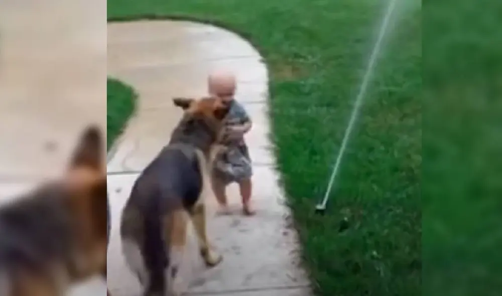 Desliza para ver las mejores imágenes del video viral de Facebook. Foto: Captura/Amanpreet Singh