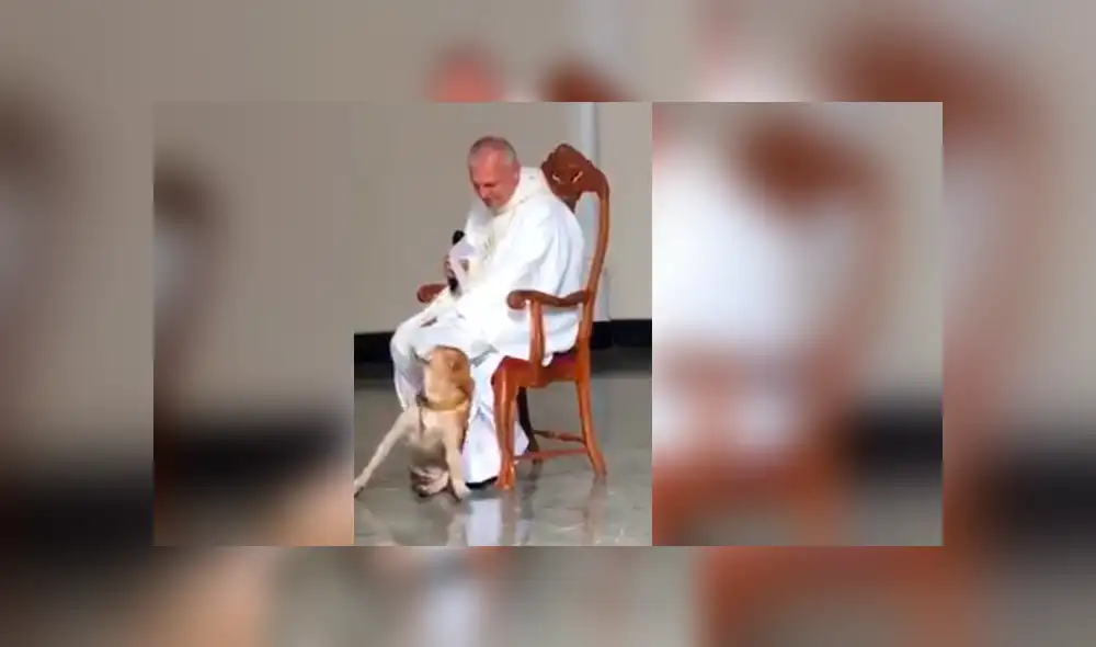 Facebook viral: perro irrumpe a párroco durante misa y la reacción de religioso asombra a todos [VIDEO]