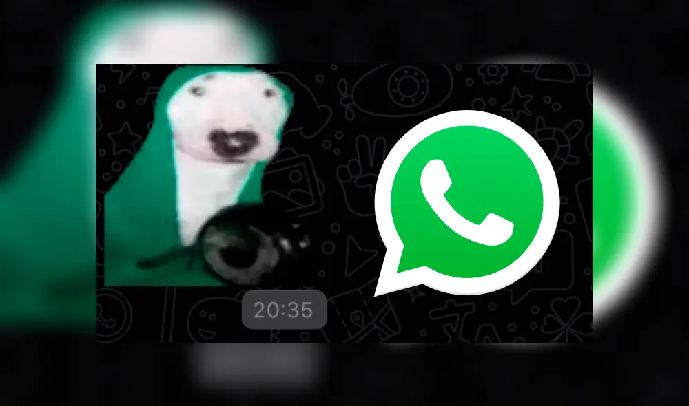 Conoce cómo conseguir el sticker con sonido del perro tocando una sartén para usarlo en WhatsApp. Foto: composición La República.