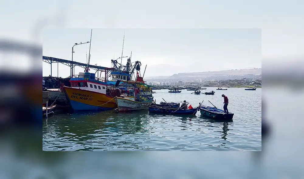 Pescadores artesanales del sur reinician huelga indefinida