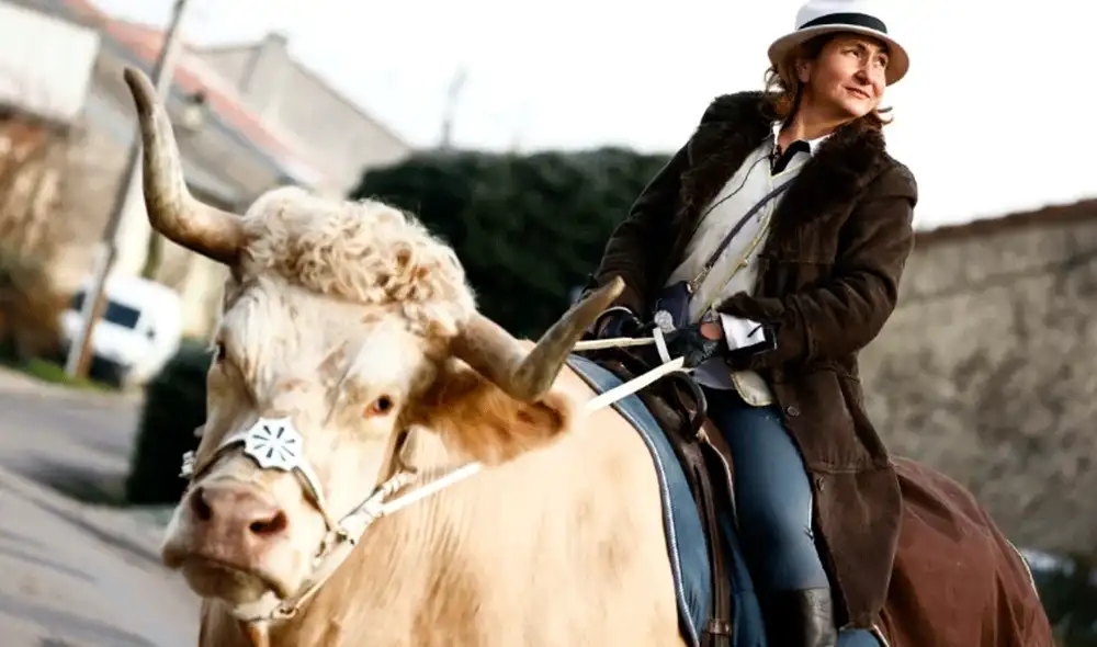 Aston tiene 9 años, es una celebridad local y tiene cuentas con más de 60.000 suscriptores en TikTok, YouTube y Facebook. Foto: AFP