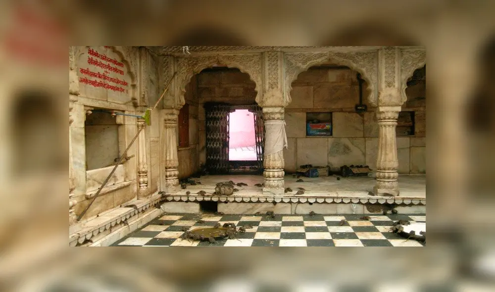 YouTube: ¿Conoces el 'Templo de las ratas' de la India? Aquí la sorprendente historia de este santuario