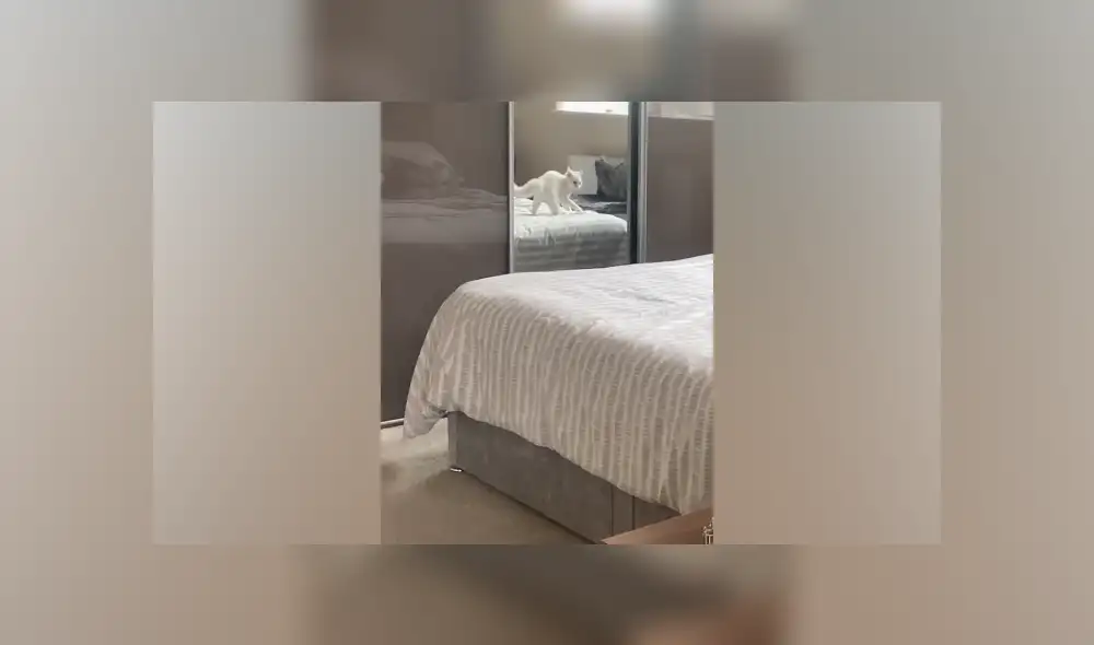 Desliza hacia la izquierda para ver las imágenes del viral de Facebook. Foto: Captura. Desliza hacia la izquierda para ver las imágenes del viral de Facebook. Foto: Captura.