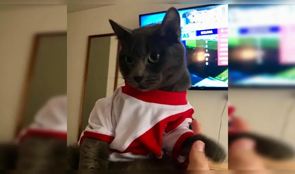 Pedro Suárez Vértiz conmueve a fans con trágica historia de su mascota [FOTOS]