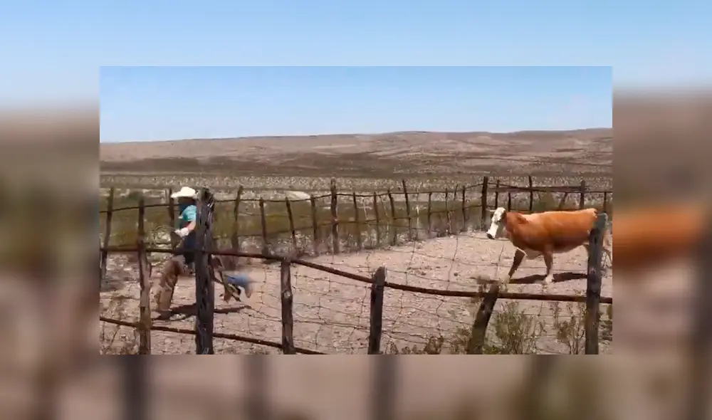 Desliza para ver las imágenes compartidas en YouTube.