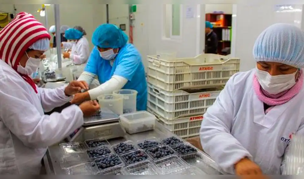 Perucámaras: Economía de la Macro Región Norte crecería 3,7% al cierre de este año Perucámaras: Economía de la Macro Región Norte crecería 3,7% al cierre de este año