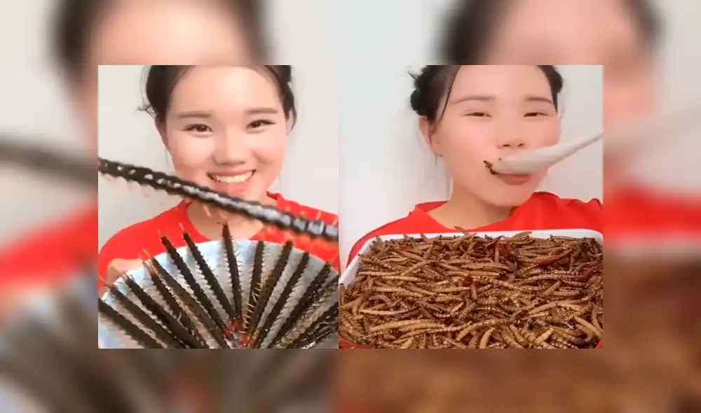 Facebook: joven asiática sorprende a miles al comer todo tipo de peligrosos insectos [VIDEO]
