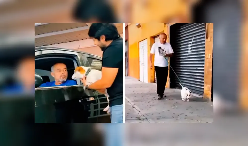 Desliza las imágenes hacia la izquierda para apreciar la verdadera amistad entre un padre y su nueva mascota.