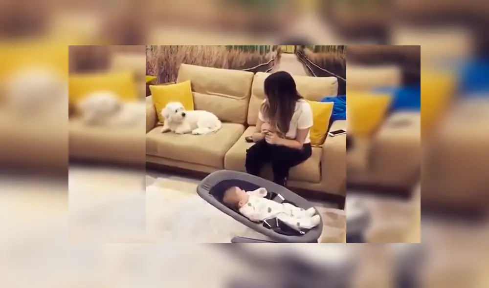 En Facebook, una joven madre quedó sorprendida con la reacción de su mascota cuando vio que fingía lastimar a su bebé. En Facebook, una joven madre quedó sorprendida con la reacción de su mascota cuando vio que fingía lastimar a su bebé.