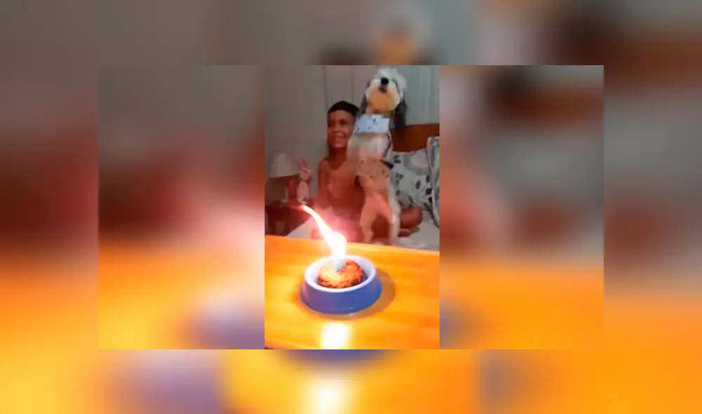 Desliza las imágenes para conocer la sorpresa que prepararon los integrantes de una familia para su mascota. Desliza las imágenes para conocer la sorpresa que prepararon los integrantes de una familia para su mascota.