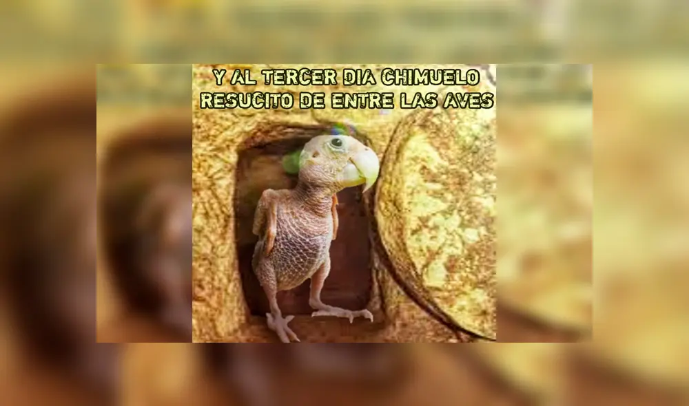 Vía Facebook: divierte con la mejor selección de memes de 'Adiós Chimuelo', el video del momento [FOTOS]