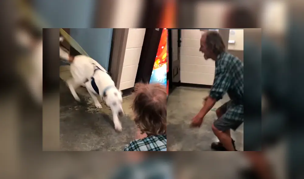 Hombre sin hogar se reunió con su mascota después de varios días sin verlo y la reacción del can se hizo viral en Facebook