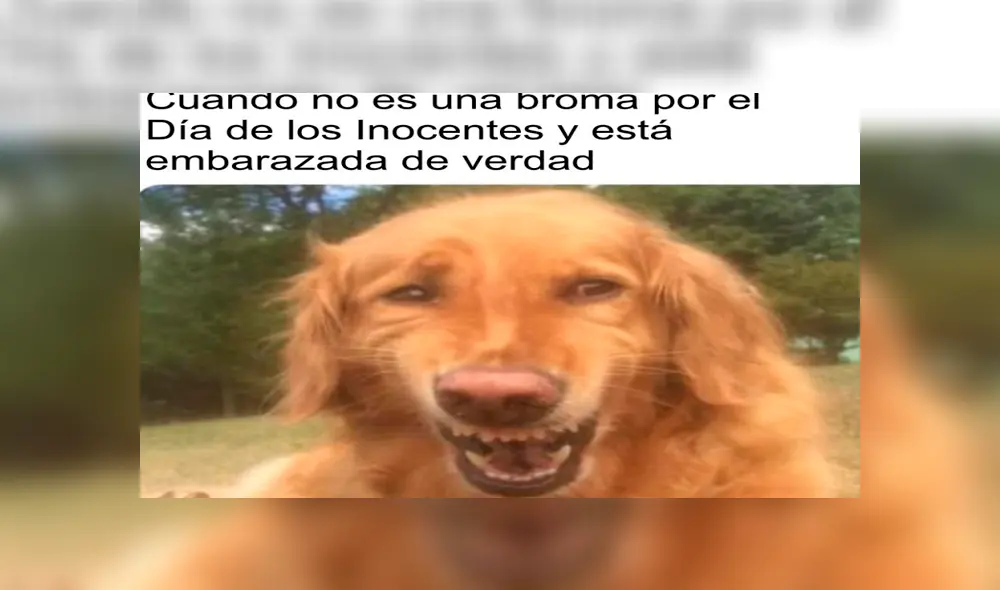 Día de los Inocentes: En Facebook se viralizaron graciosos memes y aquí te dejamos los mejores [FOTOS]