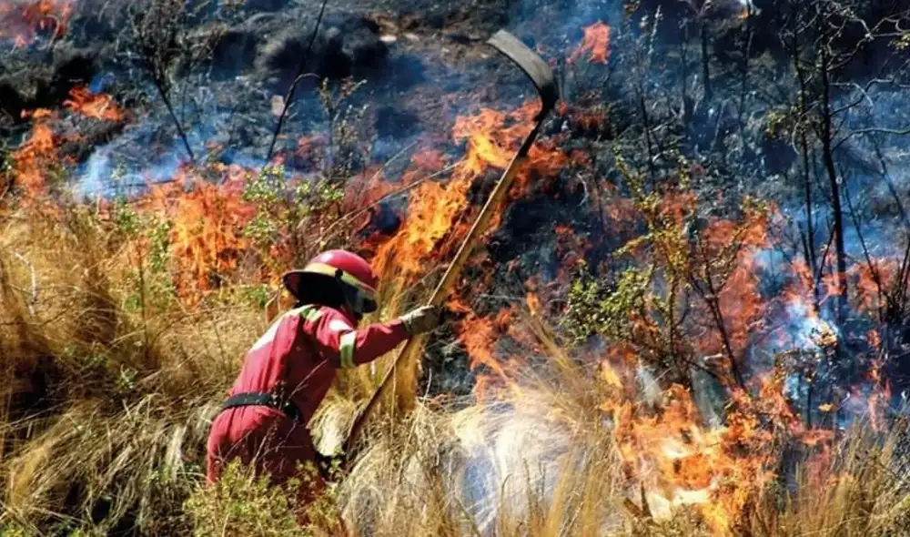 Cusco: impresionantes imágenes del incendio forestal cerca a Sacsayhuaman Cusco: impresionantes imágenes del incendio forestal cerca a Sacsayhuaman