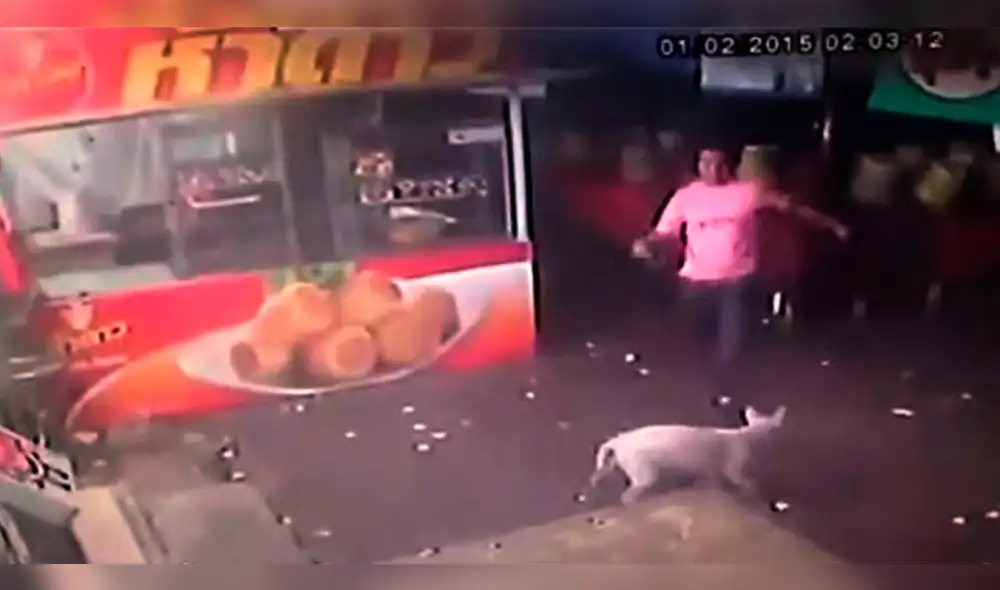 YouTube: hombre recibe fuerte golpe en la cabeza al intentar agredir a un perro [VIDEO]