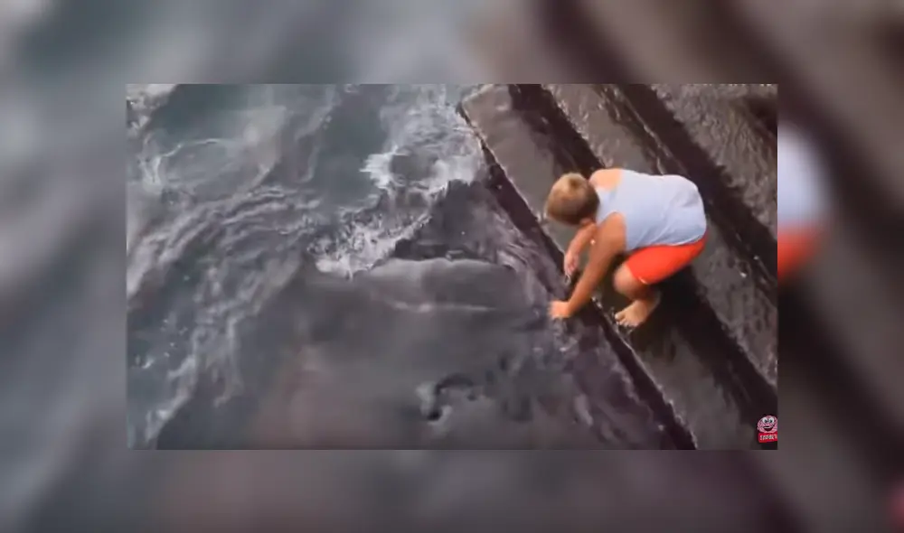 Desliza para ver detalles del video viral publicado en YouTube. Foto: Captura. Desliza para ver detalles del video viral publicado en YouTube. Foto: Captura.