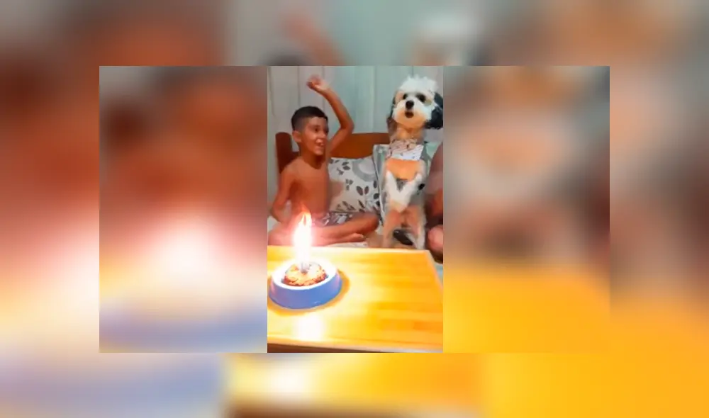 Desliza las imágenes para conocer la sorpresa que prepararon los integrantes de una familia para su mascota. Desliza las imágenes para conocer la sorpresa que prepararon los integrantes de una familia para su mascota.