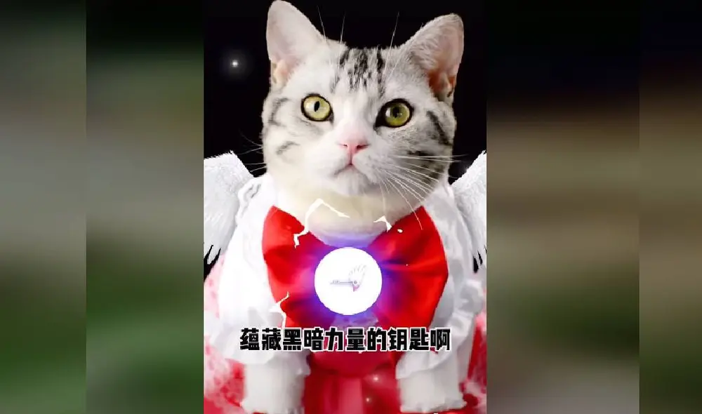 Desliza para ver las imágenes del viral de Facebook. Foto: Captura/TikTok