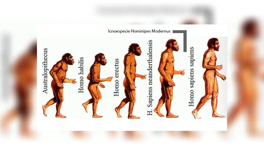 Hallan en Chile la primera huella humana más antigua de América [FOTOS]