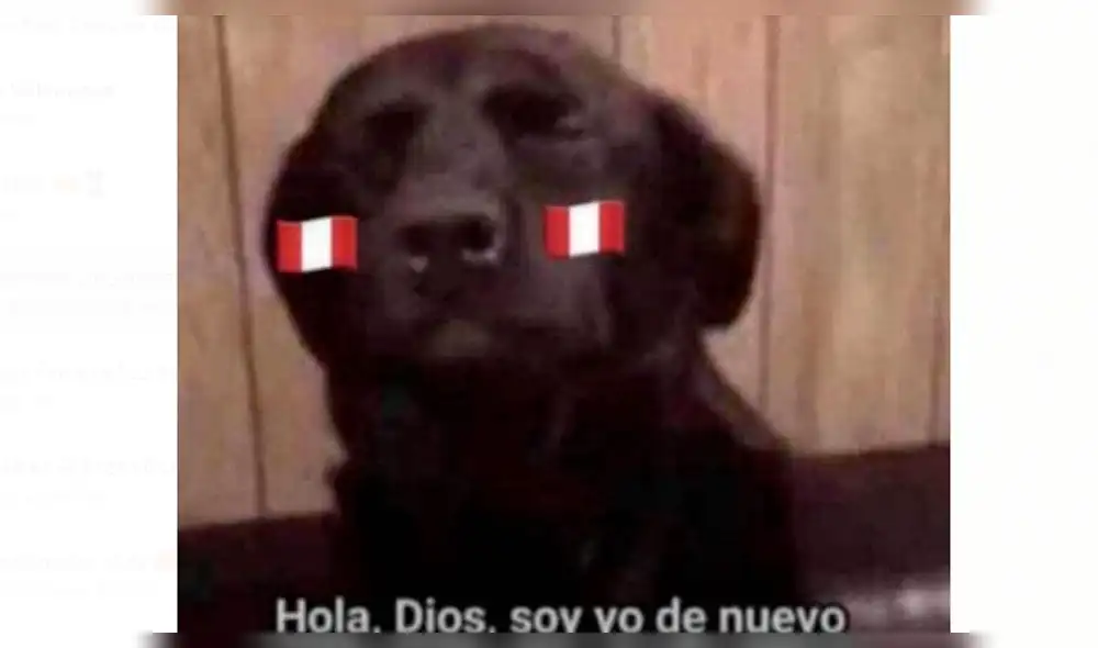 Los mejores memes del Perú vs Brasil después de la  final de la Copa América 2019