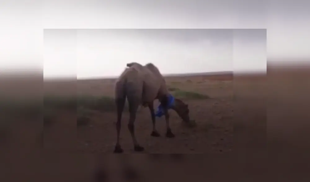 Desliza las imágenes para ver más sobre esta conmovedora historia de reencuentro que es viral en Facebook. (Foto: captura) Desliza las imágenes para ver más sobre esta conmovedora historia de reencuentro que es viral en Facebook. (Foto: captura)