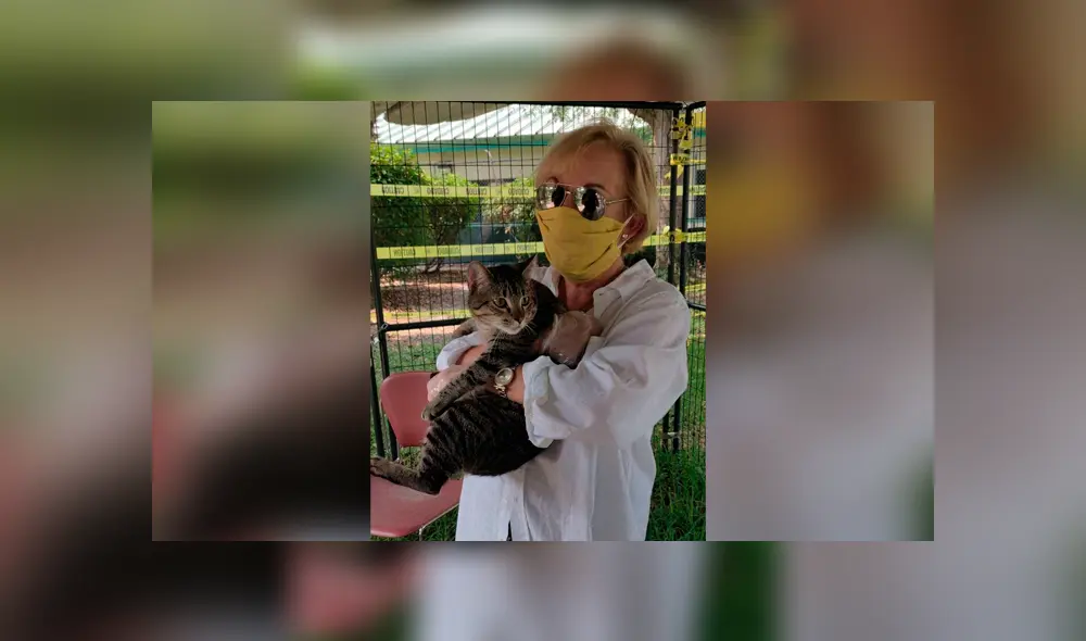 Desliza las imágenes para apreciar la conmovedora celebración de los trabajadores al enterarse sobre la adopción de los animales. Desliza las imágenes para apreciar la conmovedora celebración de los trabajadores al enterarse sobre la adopción de los animales.