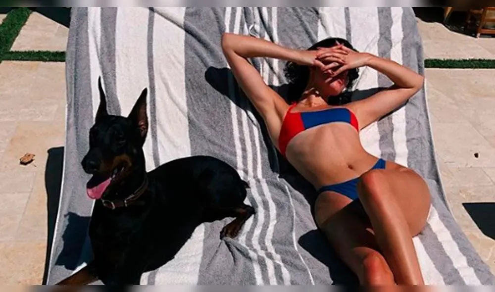 Kendall Jenner, maltrato animal Kendall Jenner, maltrato animal