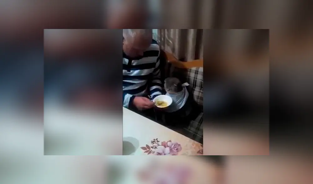 Desliza las imágenes para ver la increíble escena que protagonizó un padre y su gato. Foto: Captgura/Facebook Desliza las imágenes para ver la increíble escena que protagonizó un padre y su gato. Foto: Captgura/Facebook