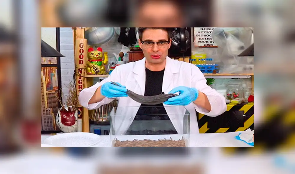 YouTube viral: Arroja pescado a recipiente lleno de gusanos carnívoros y esto sucede [VIDEO]