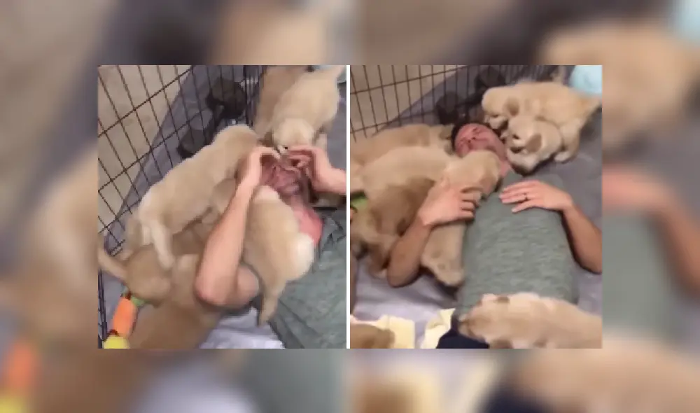 Desliza las imágenes para ver más detalles de esta tierna escena que es viral en Facebook. Desliza las imágenes para ver más detalles de esta tierna escena que es viral en Facebook.