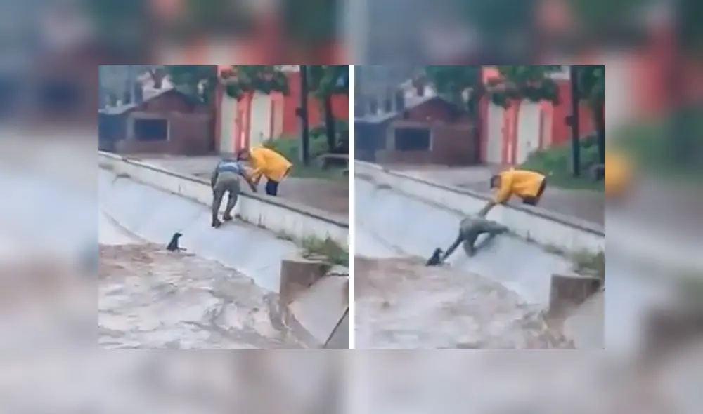 En YouTube, un chico se lanzó a un peligroso río para salvar a un perro callejero que suplicaba por ayuda. En YouTube, un chico se lanzó a un peligroso río para salvar a un perro callejero que suplicaba por ayuda.