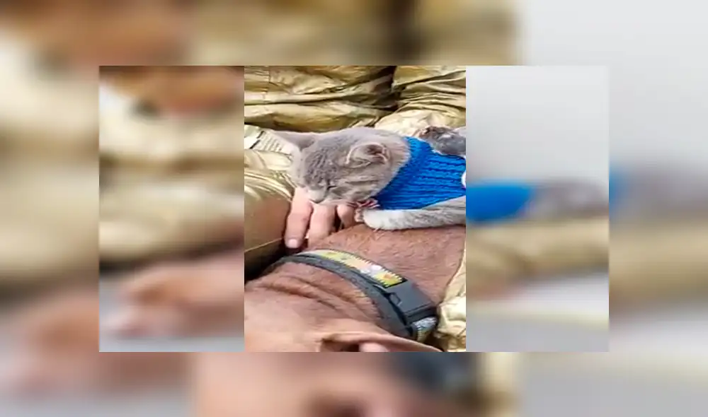 En Facebook, un joven sorprendió a los transeúntes al unir a los animales como grandes amigos en plena calle. En Facebook, un joven sorprendió a los transeúntes al unir a los animales como grandes amigos en plena calle.