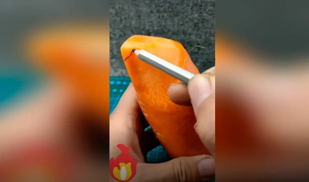 Desliza las imágenes para ver el resultado de esta increíble escultura que hizo un joven artista en una zanahoria. Foto: captura de TikTok/decompression3 Desliza las imágenes para ver el resultado de esta increíble escultura que hizo un joven artista en una zanahoria. Foto: captura de TikTok/decompression3