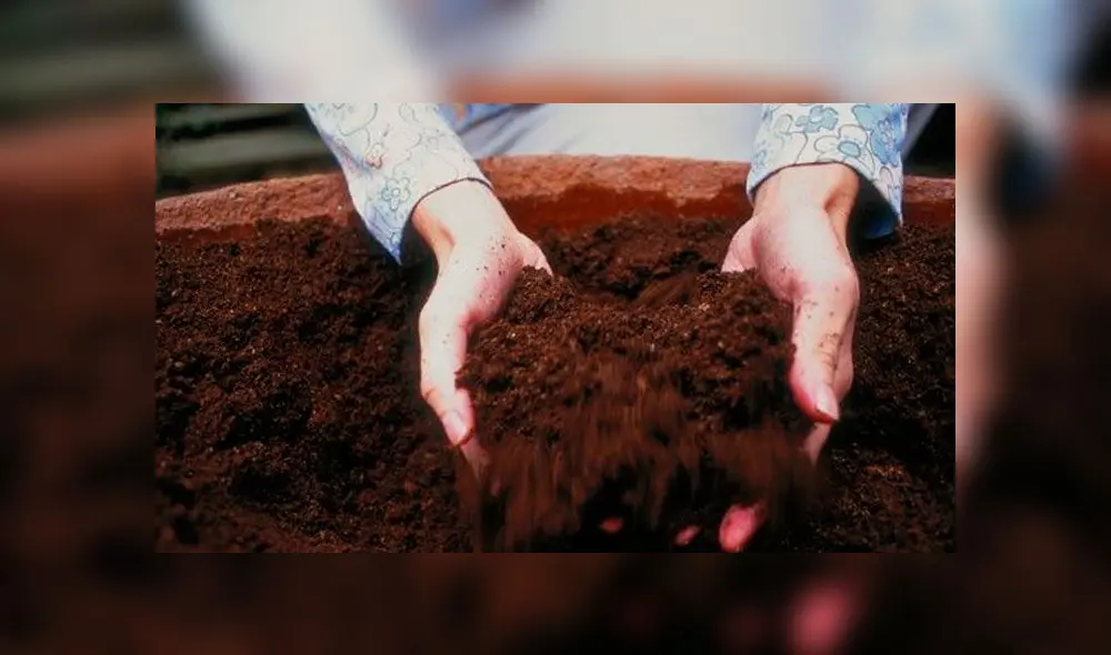 La mujer de 87 años fue cómplice en el asesinato de su hijo 'Robertito'. Imagen referencial.