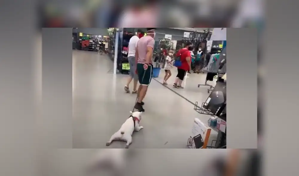 Desliza hacia la izquierda para ver las imágenes del viral de YouTube. Foto: Captura. Desliza hacia la izquierda para ver las imágenes del viral de YouTube. Foto: Captura.