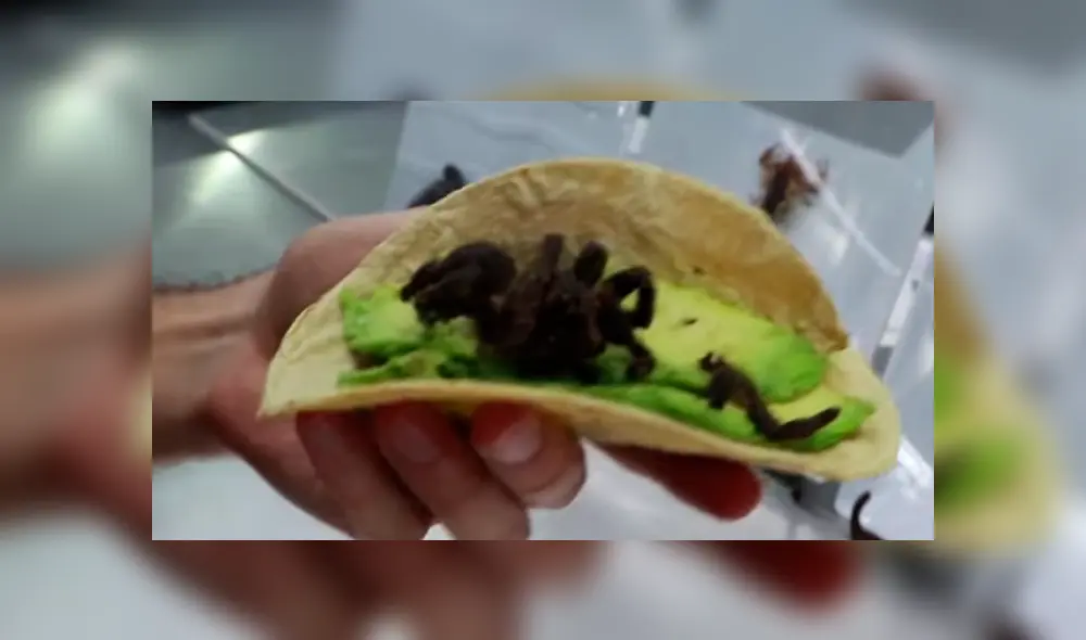 Luisito Comunica paga 80 soles por comer enorme tarántula venenosa, sin imaginar lo que pasaría.
